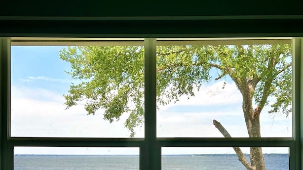 Une fenêtre donnant sur la mer et un arbre.