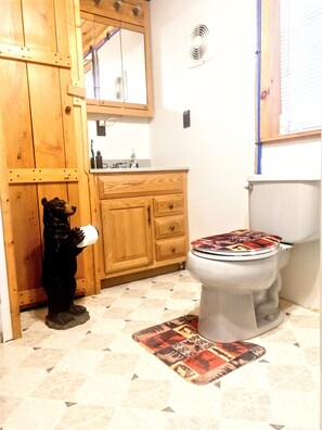 Combined shower/bathtub, hair dryer, towels, soap - Aquila's Nest in Cherry Springs State Park  a stay under the stars  (Coudersport)