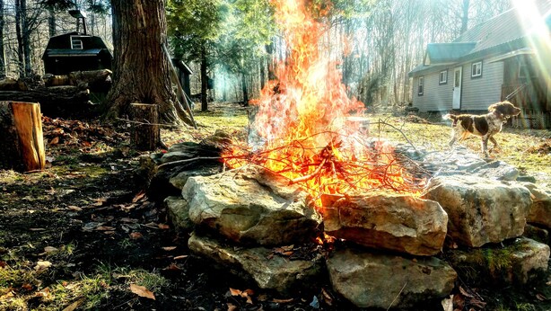A campfire in a forested area with a house and a dog nearby.