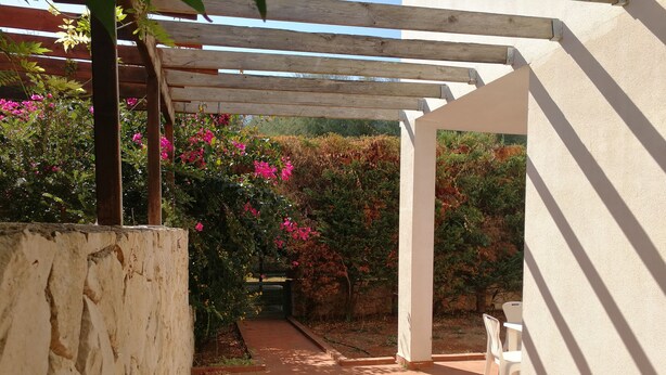 Uma área externa coberta com pérgola de madeira, um caminho que leva a um portão e uma parede branca.