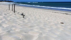 Une plage avec un ciel dégagé, un rivage sablonneux et un phare à l’horizon.