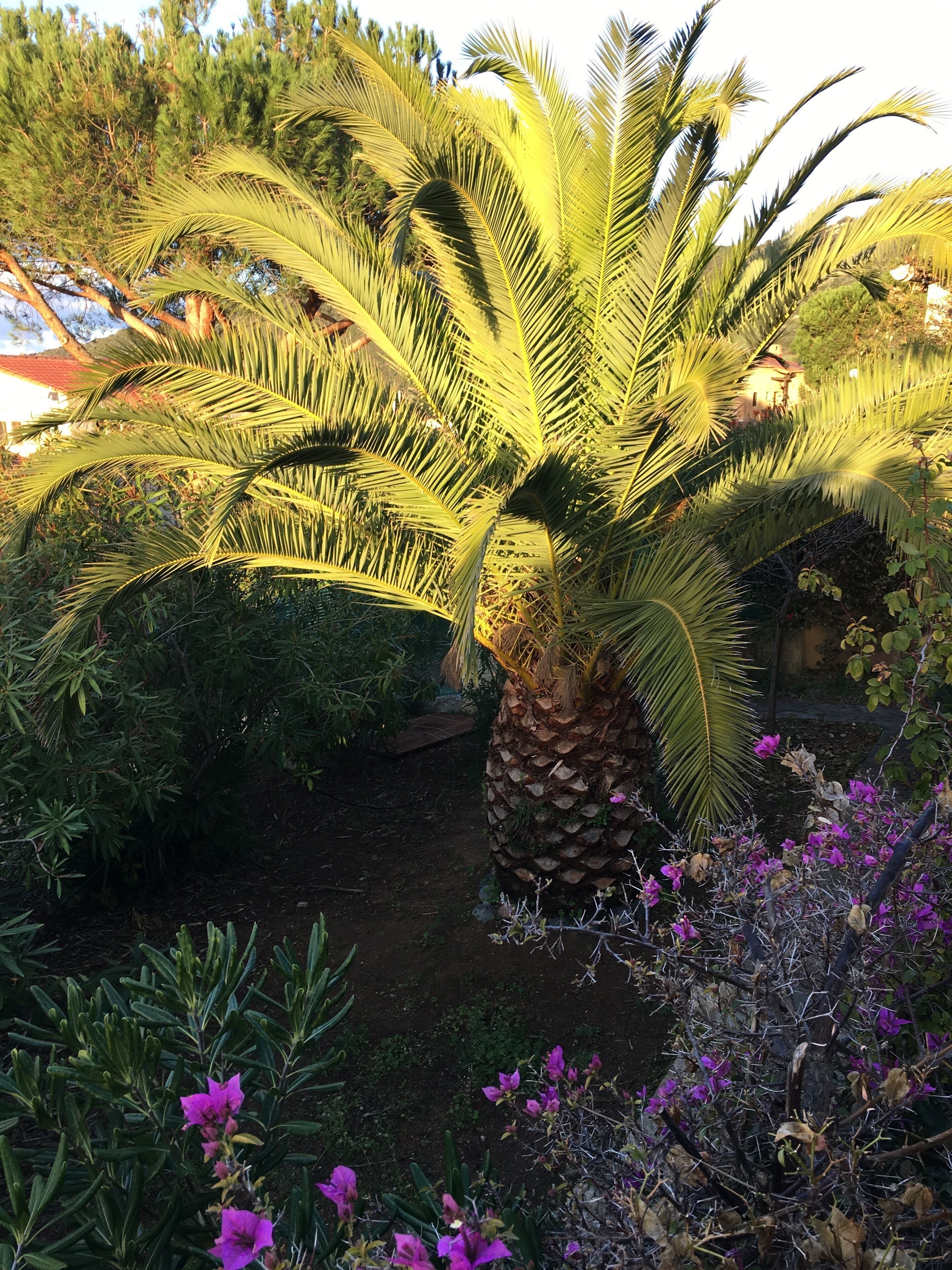 Jardines del alojamiento