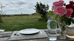 Una mesa de picnic dispuesta con platos, cubiertos y una botella de agua.