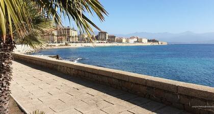Nice T2 residence of the AJACCIO islands, exceptional view of the sea and sanguinary islands