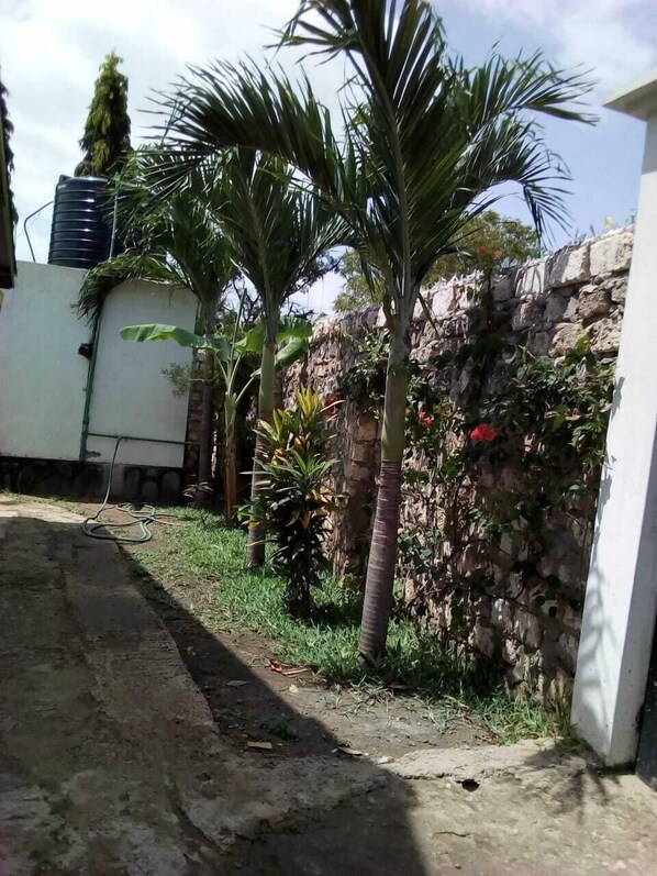 A garden with palm trees, a stone wall, and a white building.