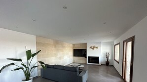 Una sala moderna con un sofá gris, una mesita redonda pequeña, un televisor de pantalla plana, una chimenea y una planta grande en maceta.