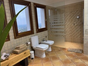 Shower, hair dryer, bidet, towels