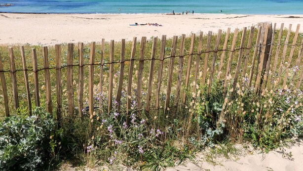 Une plage avec une clôture en bois et un rivage sablonneux.