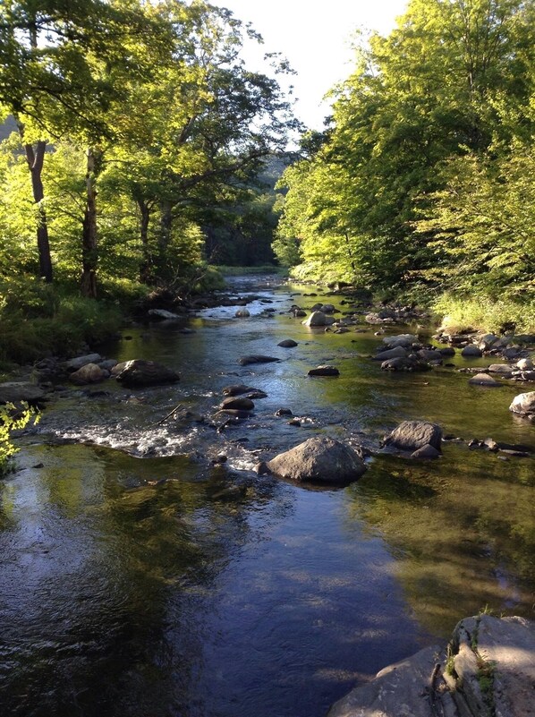 A river flowing through a forest with rocks and trees.