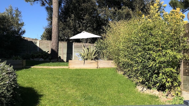 A backyard with a lawn, a wooden fence, and a variety of trees and shrubs.