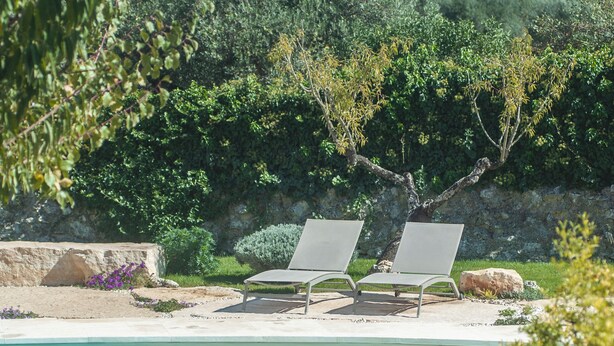 A pool area with two lounge chairs, surrounded by greenery and stone structures.