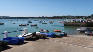 Un puerto deportivo con varias embarcaciones amarradas y una vista despejada del agua.