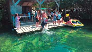 Terrain de l’hébergement