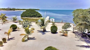 A beach with palm trees, a dock, and a boat.