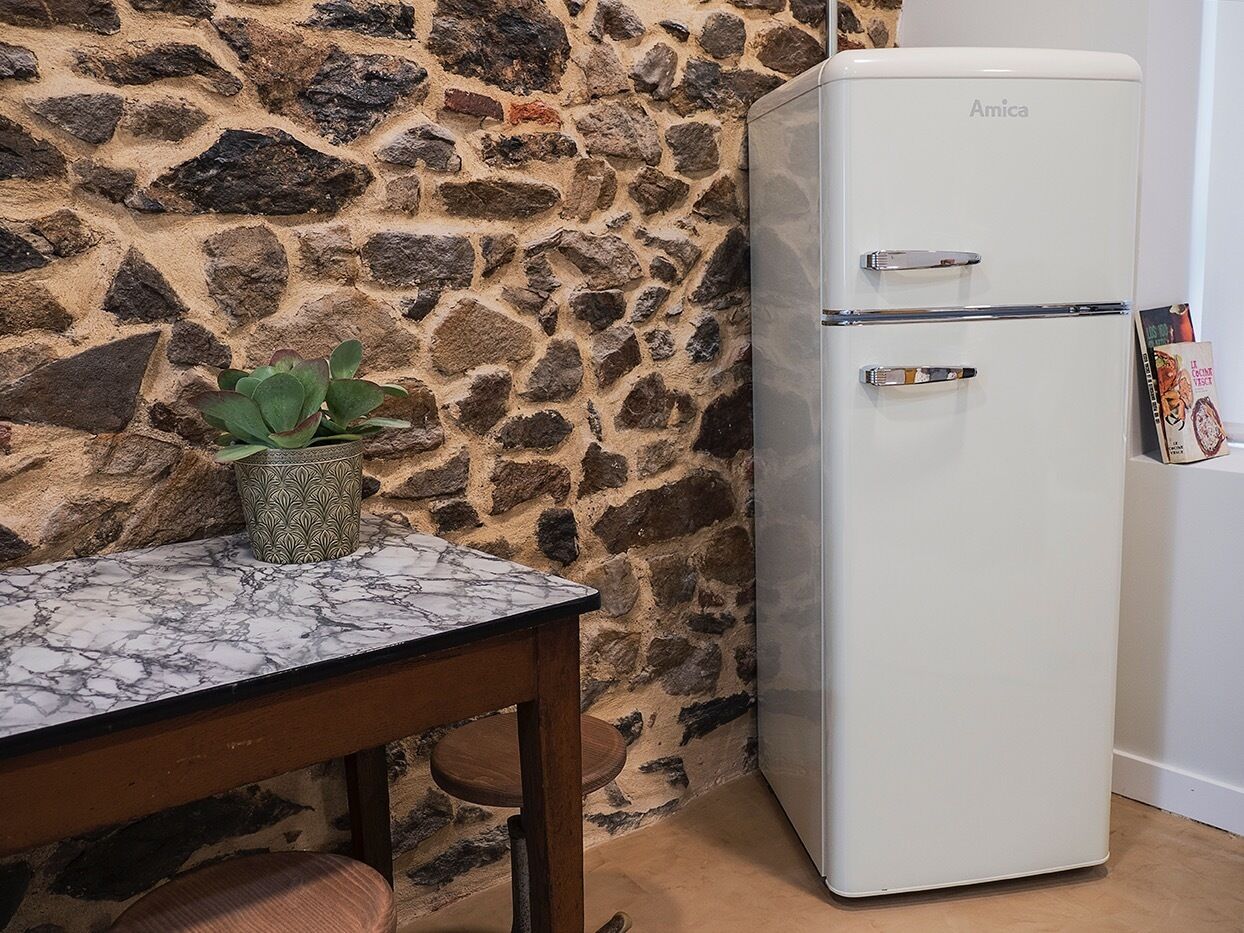 Una pared de piedra, un refrigerador blanco Amica, una mesa de mármol y una planta en maceta.