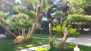 Un jardín con palmeras y un sendero.
