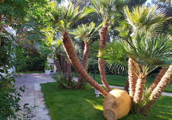 Parco della struttura