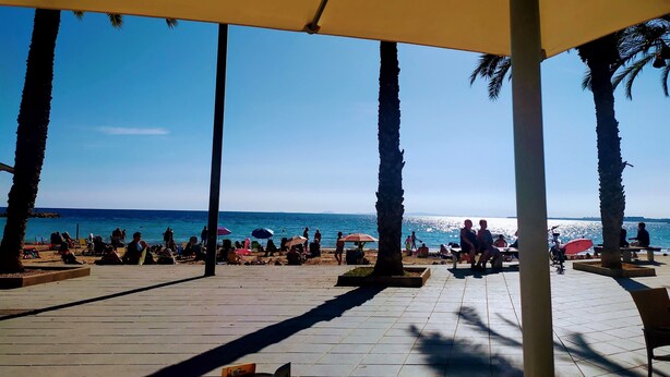 Ein Küstenabschnitt mit überdachtem Sitzbereich, Palmen und Blick aufs Meer.