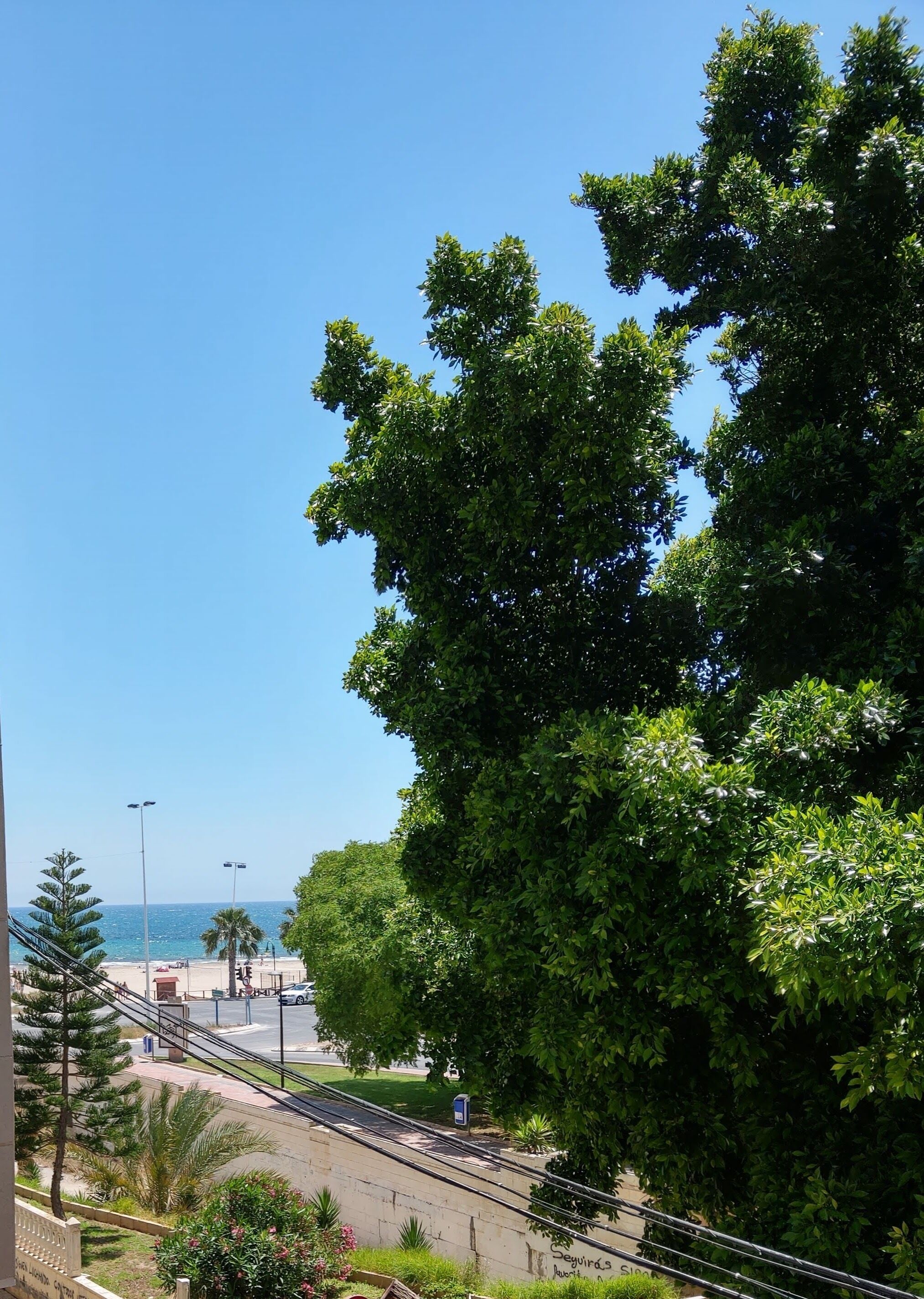 A coastal view with a clear sky, a beach, and a pedestrian pathway.