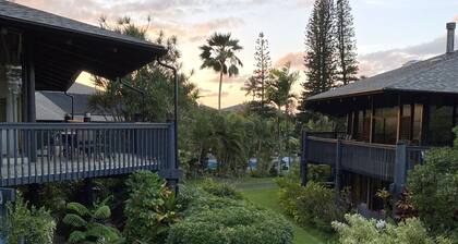 UUSI LUETTELO! Mauna Kai Retreat: Vaiheet kaupoista, ravintoloista ja rannalta!