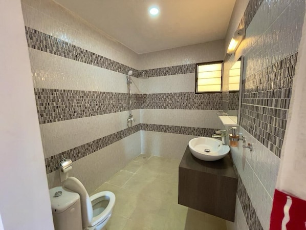 Un baño con inodoro, lavabo y ducha.
