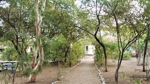 A dirt path flanked by trees leading to a building with a red roof. - Jerreh Camp Lodge (Sittanunku)