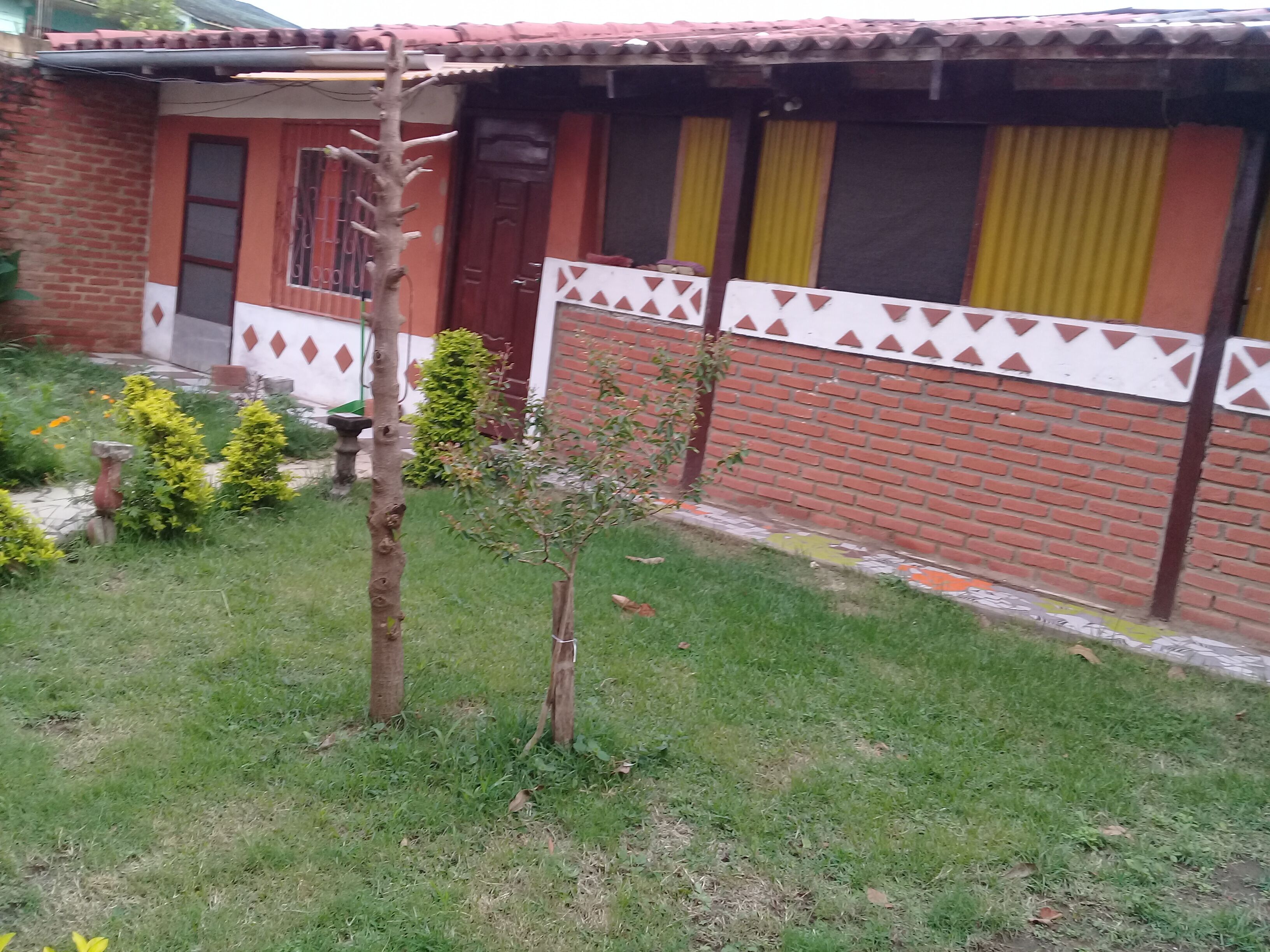 Foto - My Green House