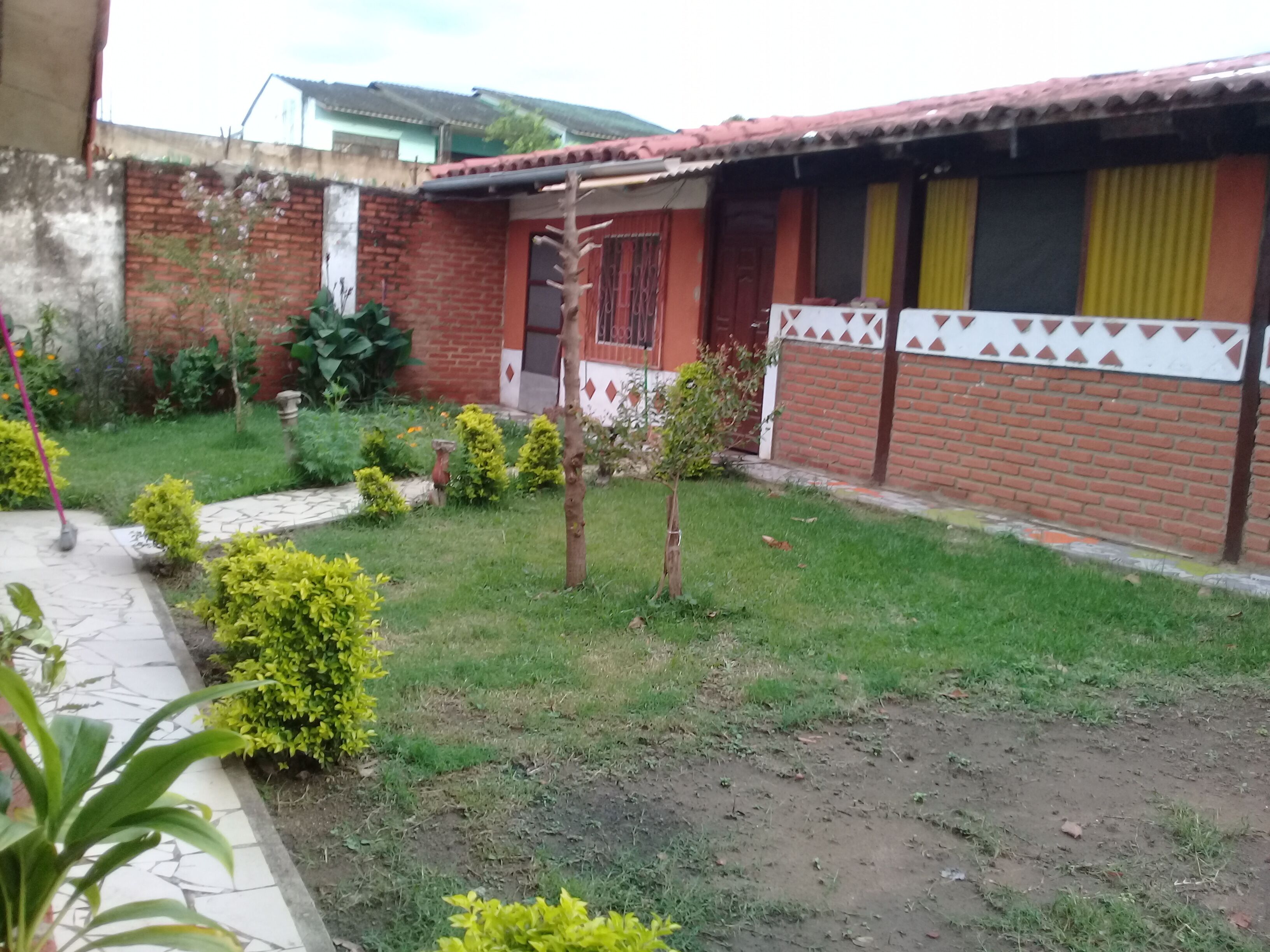 Foto - My Green House