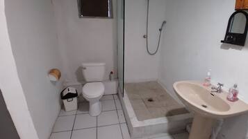 Un baño pequeño con inodoro, ducha y lavamanos.