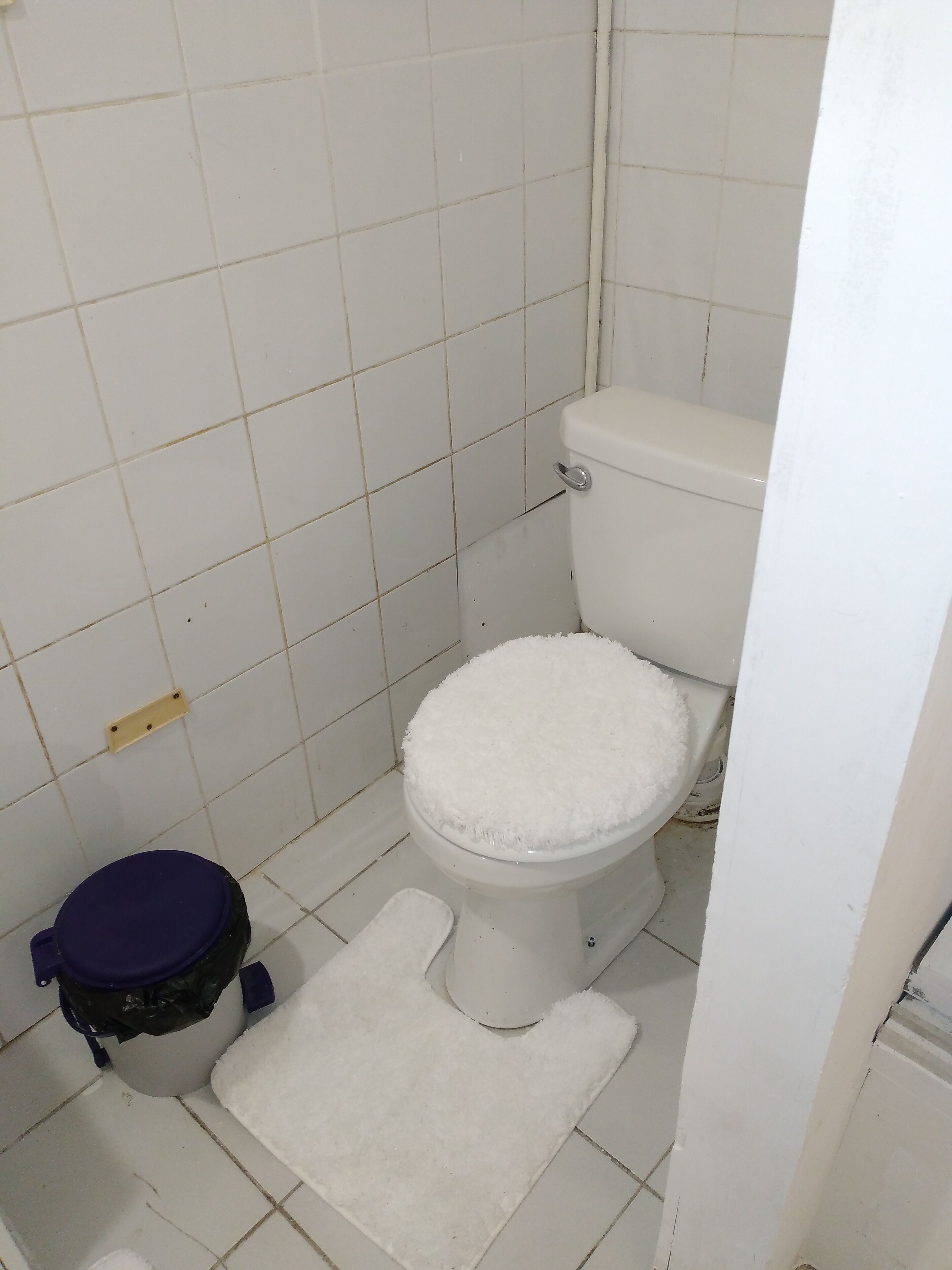 Une petite salle de bain propre, avec des carreaux blancs, des toilettes blanches, une poubelle bleue et un tapis blanc sur le sol.