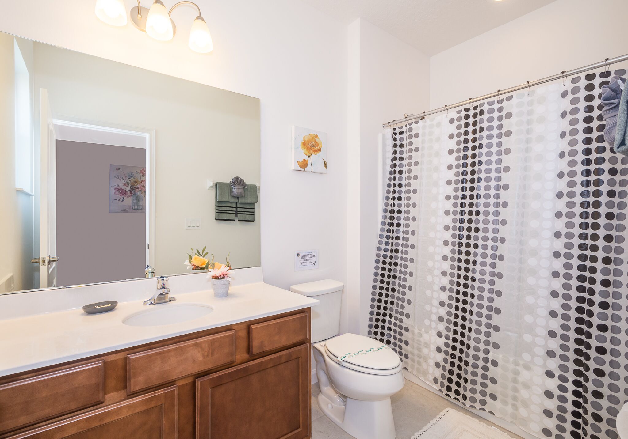 combined shower/bathtub, hair dryer, towels, soap