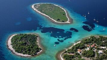 Ecotours