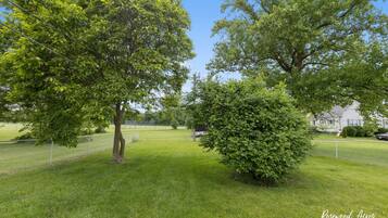 Àrea exterior de l'allotjament