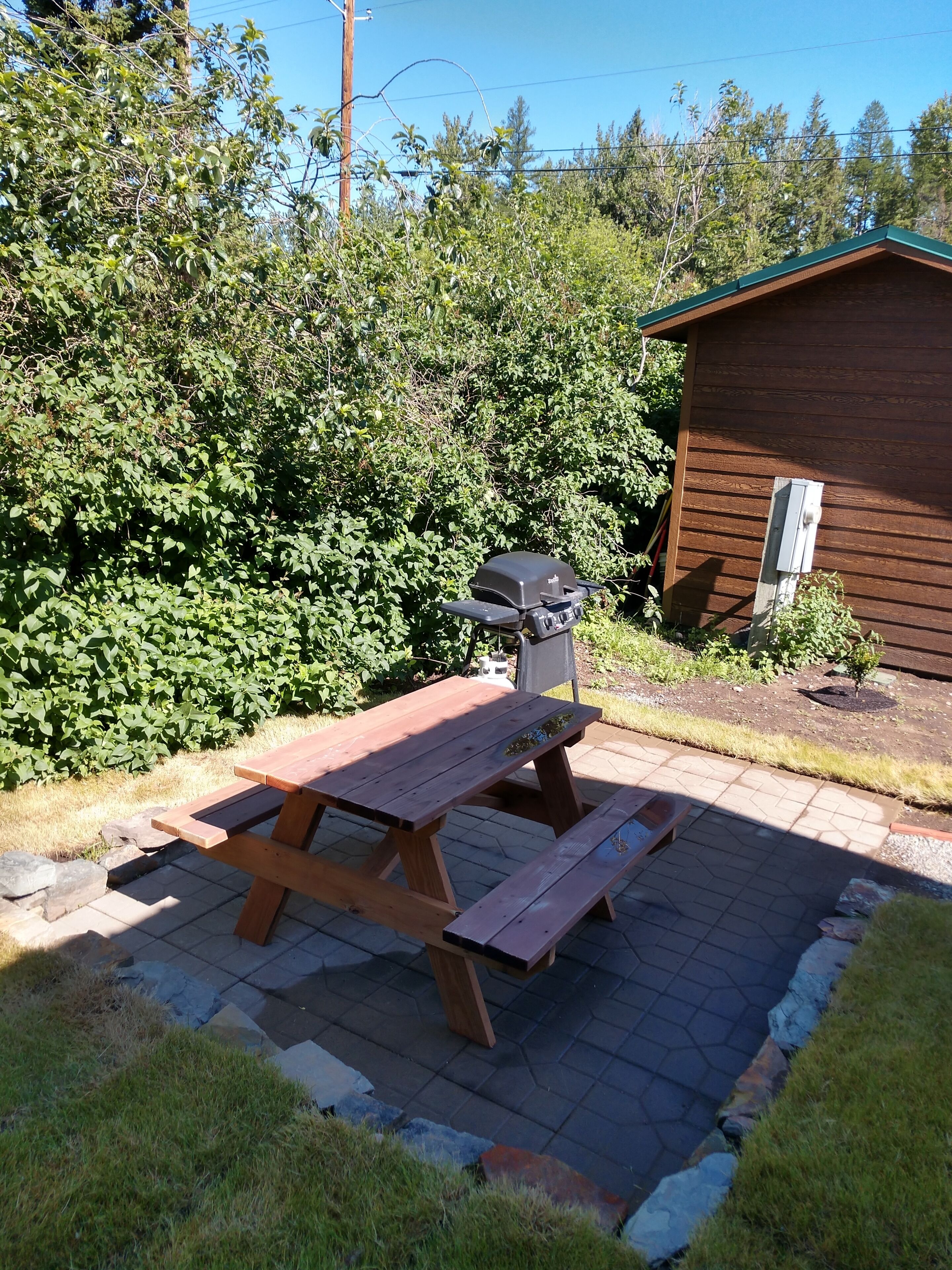 A picnic table with a grill, surrounded by a wooden fence and dense greenery.