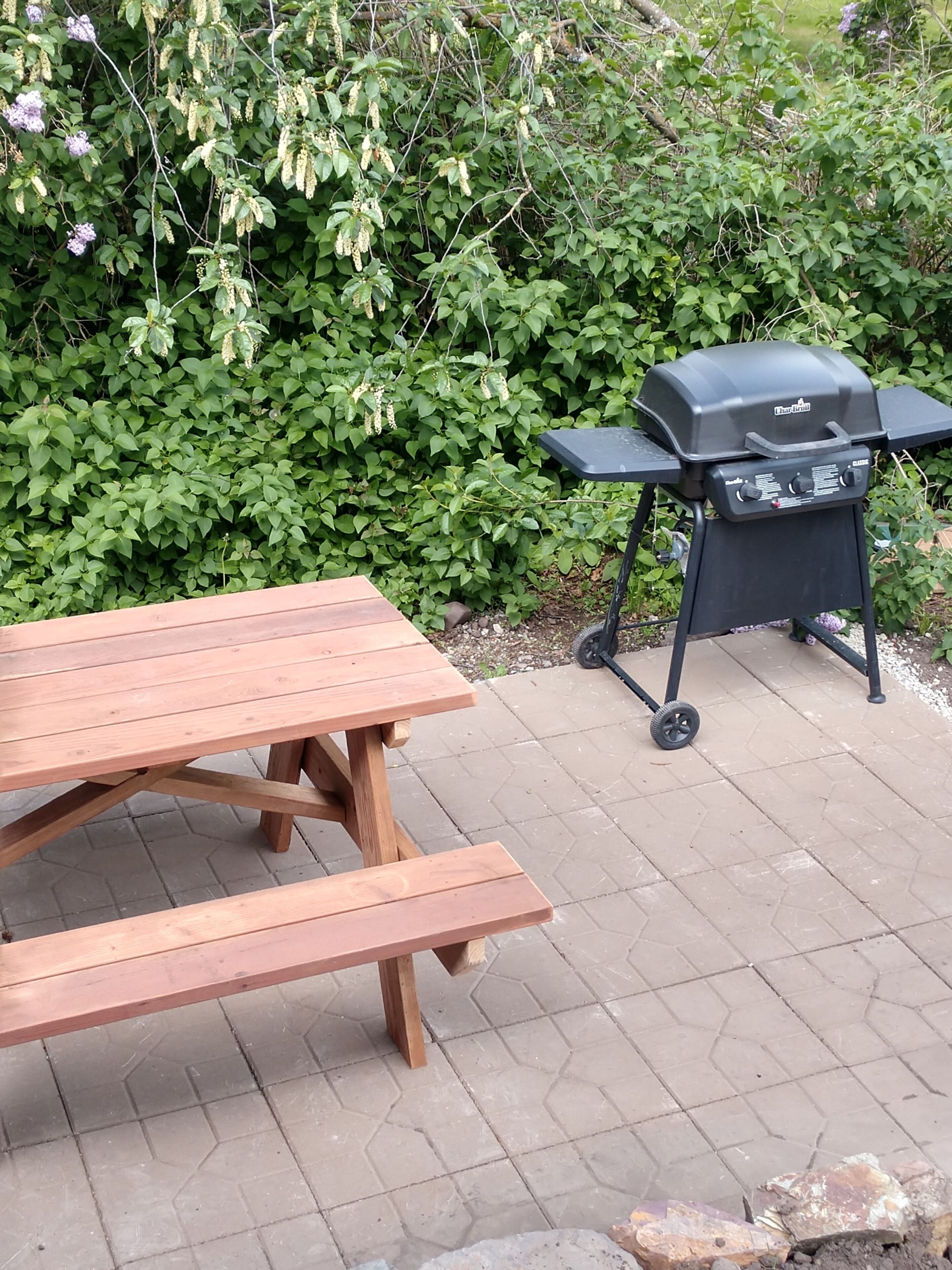 Ein Holztisch mit Bänken, ein Grill und ein Hecken im Hintergrund.