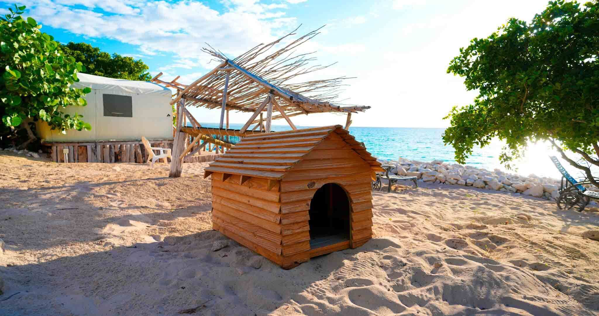Une niche pour chien en bois, sur une plage de sable, avec une caravane blanche en arrière-plan.