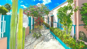 A narrow alley with a cactus, a tree with pink flowers, and buildings with blue trim. - NEW RENOVATION - Beachside Two-Bedroom Suite (Savaneta)