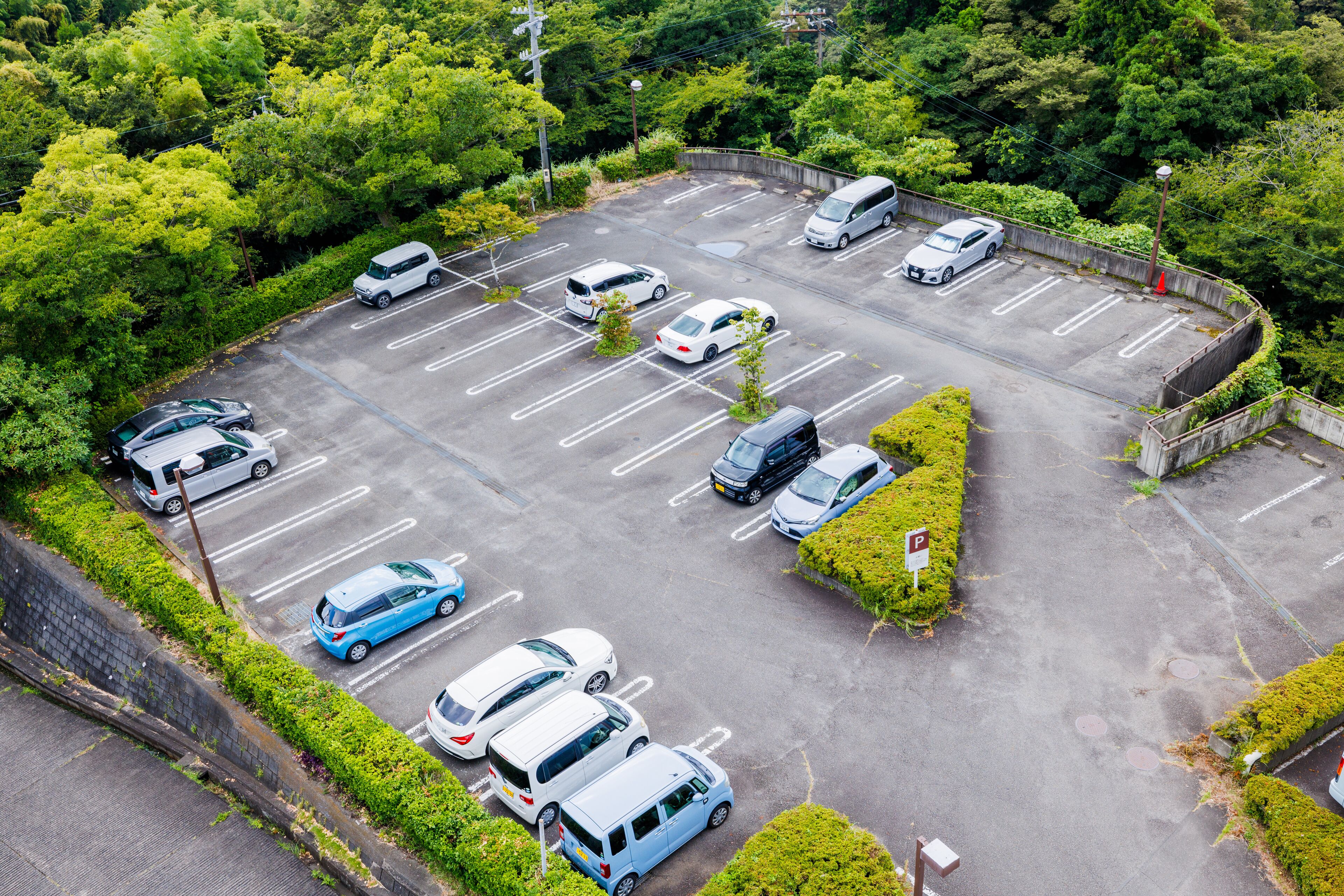 Vista aérea de un estacionamiento con varios coches y algunos autobuses, rodeado de abundante vegetación.