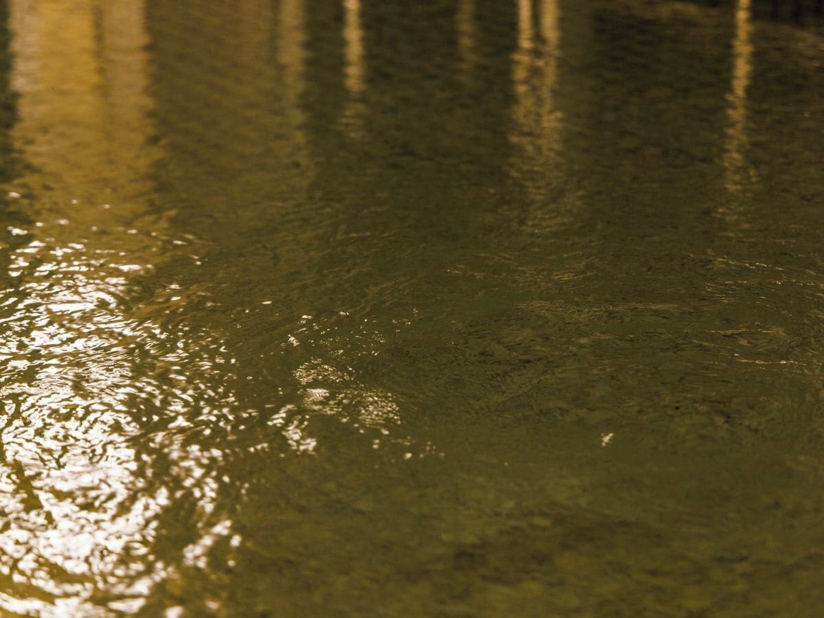A close-up of a wet surface reflecting light.