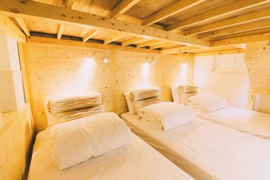 Room, Mixed Dorm | Wi-fi percuma, cadar katil 