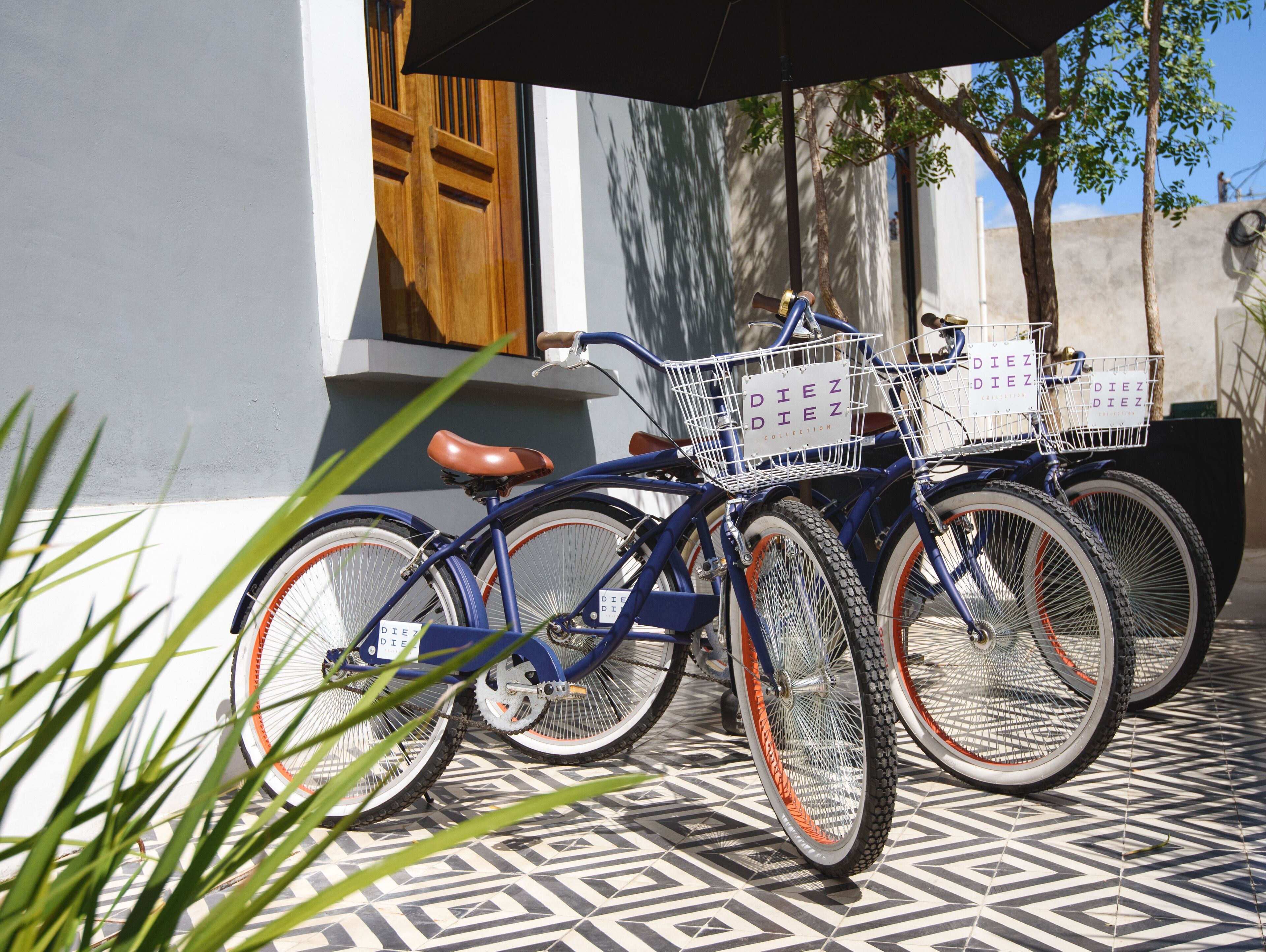 Photo - Diez Diez Collection