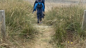 A pathway leading to a beach with a person in a wetsuit walking towards the water. - Surfs up beach Bach  (Colac Bay)