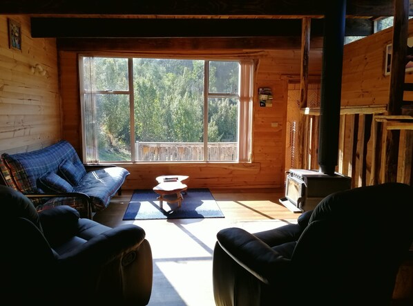 TV, fireplace, DVD player, books - Minnow cabins, peaceful bush setting, cabin 2 (Lower Beulah)