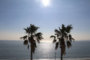 Ein Strand mit Palmen und blauem Himmel.
