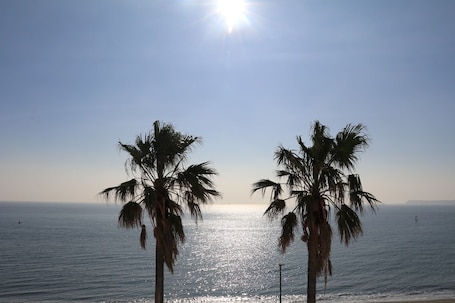 A beach with palm trees and a clear sky.