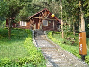 Une cabane en bois avec un escalier en pierre menant à l’entrée, entourée d’une végétation luxuriante.