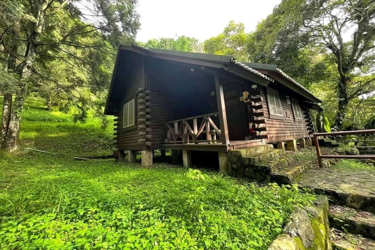 Eine rustikale Holzhütte mit Veranda und steinernen Fundamenten, umgeben von üppigem Grün.