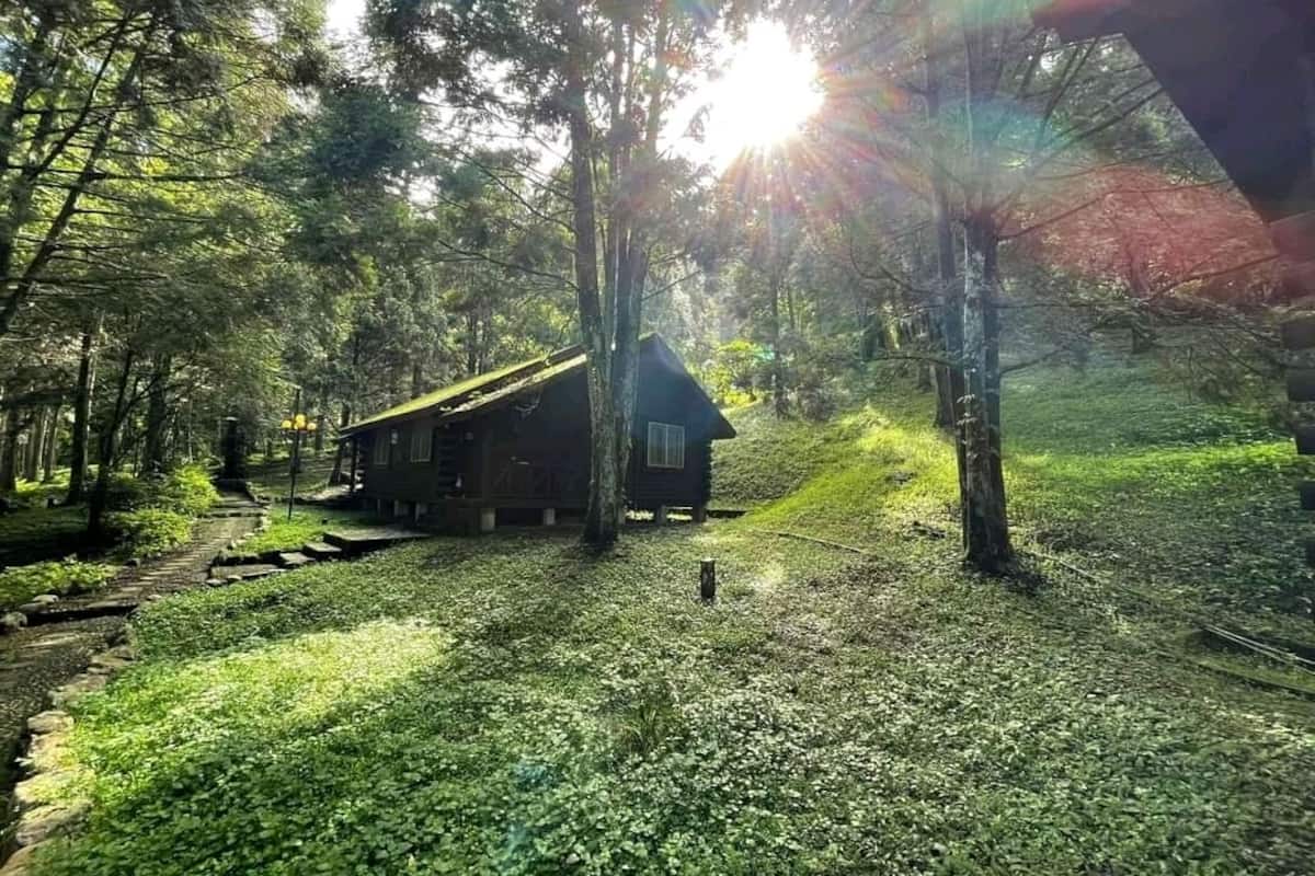 Eine Hütte im Wald, verbunden durch einen klaren Pfad.
