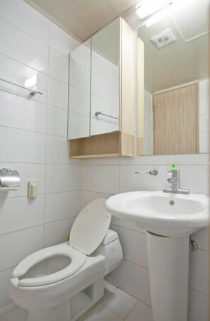 Hair dryer, soap, shampoo, toilet paper