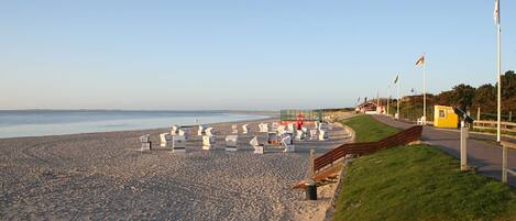 Nära stranden